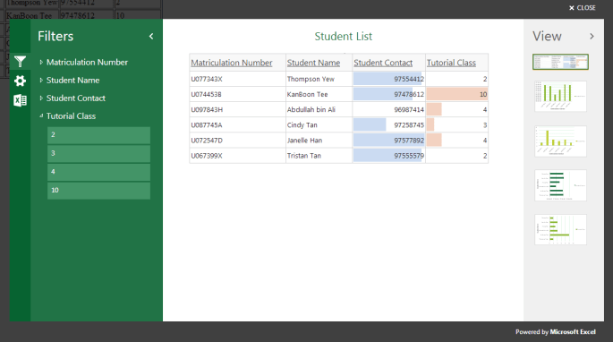 The look-and-feel of Excel Interactive View can be simpler.