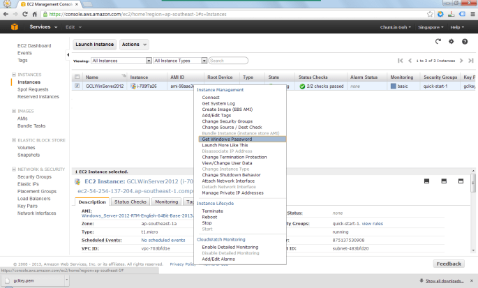 Retrieve the Windows Administrator password. 