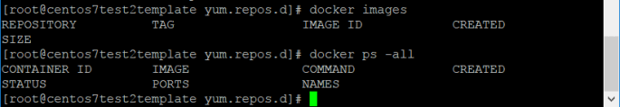 docker-installed-without-images-and-containers (2)
