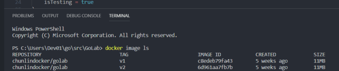 Containerize Golang Code and Deploy to Azure Web App – cuteprogramming